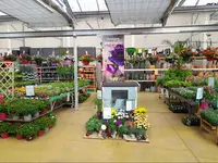 Magasin Vert Auray