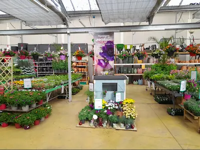 Magasin Vert Auray
