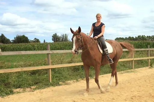 Centre Equestre l'Eperon