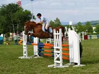 Ecole Départ. d'Equitation - Poney Club