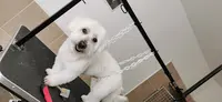 Au Joli Coeur