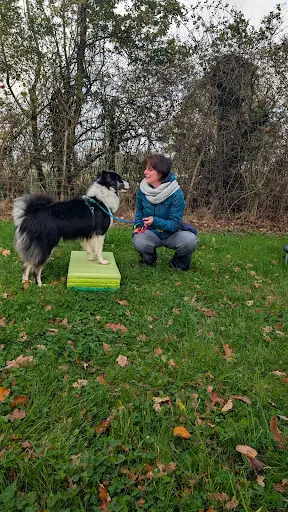 Maï Dog - Éducateur Comportementaliste Canin