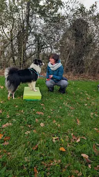 Maï Dog - Éducateur Comportementaliste Canin