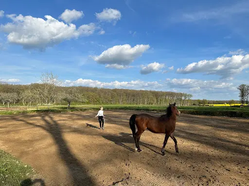 Le Ray Pierre-françois . Agribio Tourisme Val de Loire