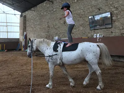 Centre Equestre Saint-victor - Equi’lien
