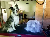 La Griffe en Coton