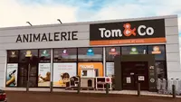 Tom&co Auxerre