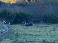 Centre Equestre de Coux