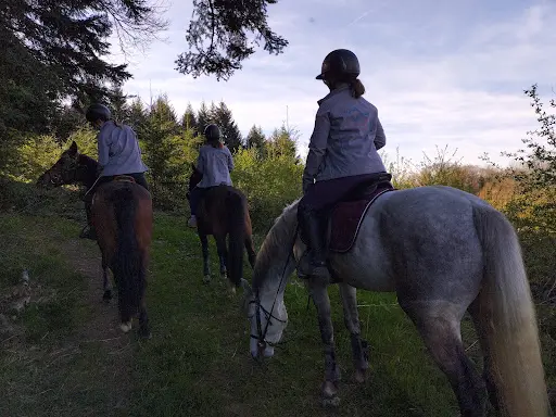 Auzelles Équitation