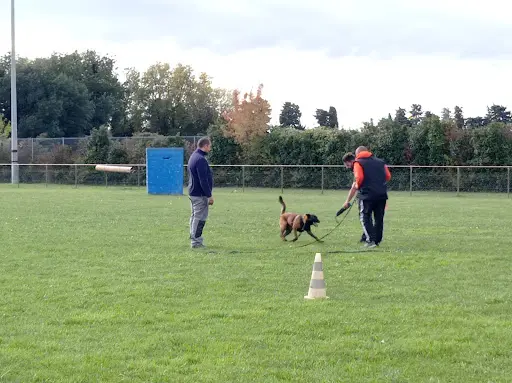 Club Canin de Dressage d'Avignon