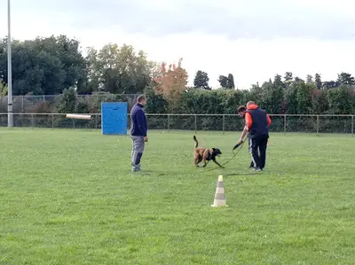 Club Canin de Dressage d'Avignon