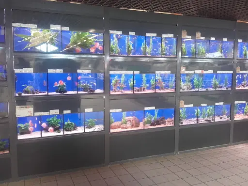 Jardiland