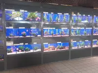 Jardiland