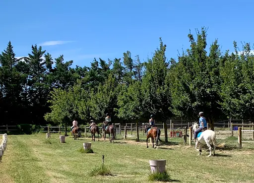 Poney Club d'Avignon