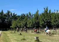 Poney Club d'Avignon