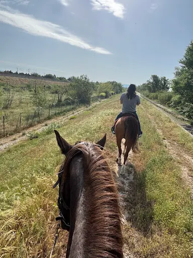 Ranch El Pirata - Balades À Cheval et Pensions Pour Chevaux À Avignon