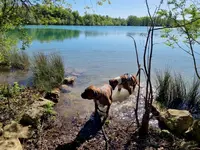 Au Mus’ô Dans L’eau