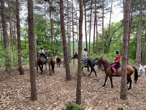 La Horse Club