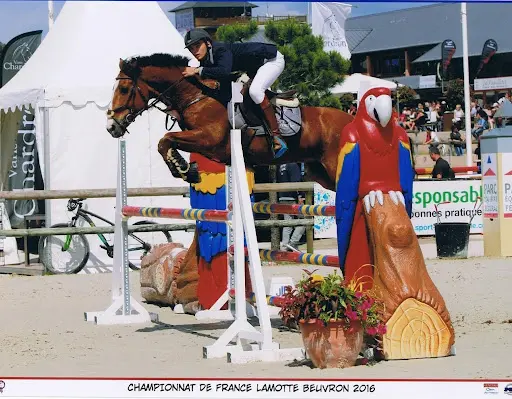 En Selle Epernay