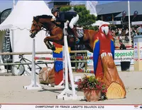 En Selle Epernay