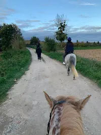 Pôle Equestre de Champagne