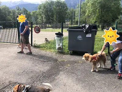A l'Ecoute du Chien 74