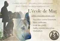 Education Canine