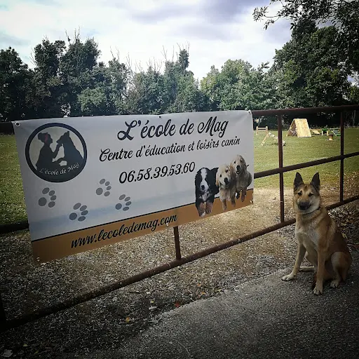 l'École de Mag