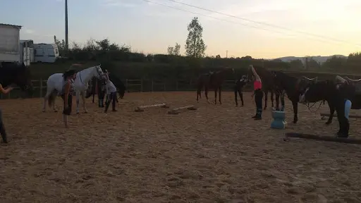 Sasha S Stable By de Haro