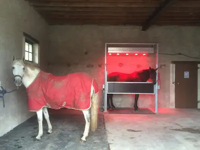 Les Ecuries de la Lambarderie