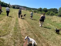 Main À la Patte