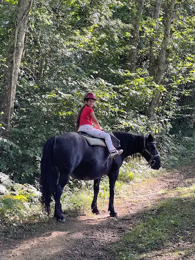 Randonnée À Cheval - Cheval Rit
