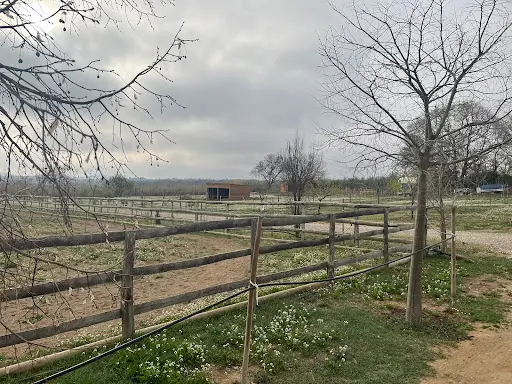 Centre Équestre Écuries du Domaine de la Tanière Pension Équestre Familiale À Bages 66670