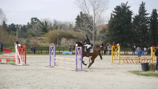 Écurie Bages Équitation - Mas Motter