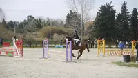 Écurie Bages Équitation - Mas Motter