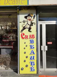 Beauté Chien et Chat Beauté