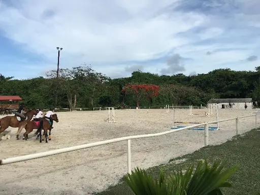 Centre Équestre la Martingale