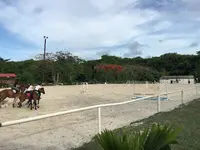 Centre Équestre la Martingale