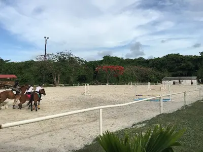 Centre Équestre la Martingale