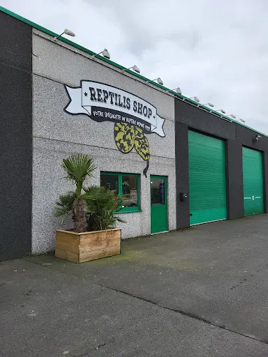 Reptilis Shop