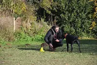 Alexandre Roche Éducateur Canin