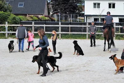 Domaine de la Lumière de Tyché : Education Canine (chiots et Adultes) - Agility et Dog Dancing - Elevage