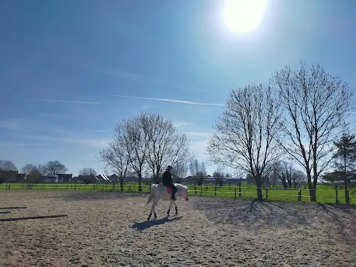 Ecuries du Marais Sarl