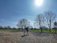 Ecuries du Marais Sarl