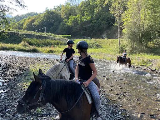 Les Chevaux de la Spone - Balade & Randonnée À Cheval - Cours d'Équitation - Elevage