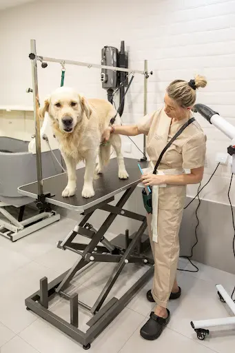 Grooming Access - Agc Creation