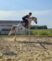 Le P Tit Trot Balzatois
