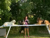 Nat Educ Dog