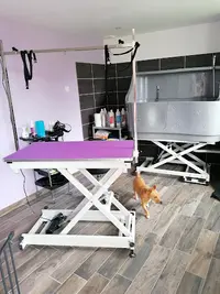Toutoubo- Salon de Toilettage et Massage Canin Bantigny