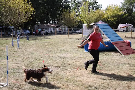 Club Canin Cani Sport du Ségala Baraqueville